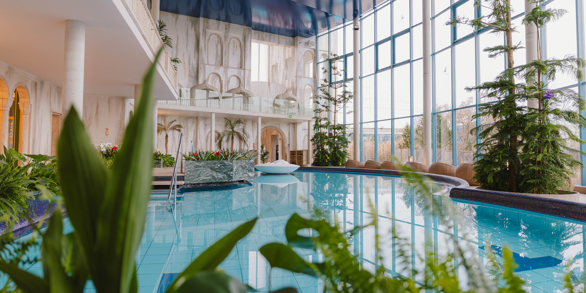 Türkisglitzerndes Wasser im Pool, umgeben von grünen Pflanzen.