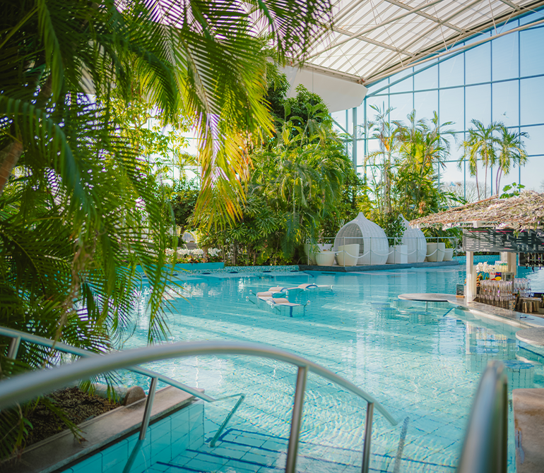 A large vitality pool with clear water, surrounded by palm trees and tropical plants under a glass roof at Therme Erding