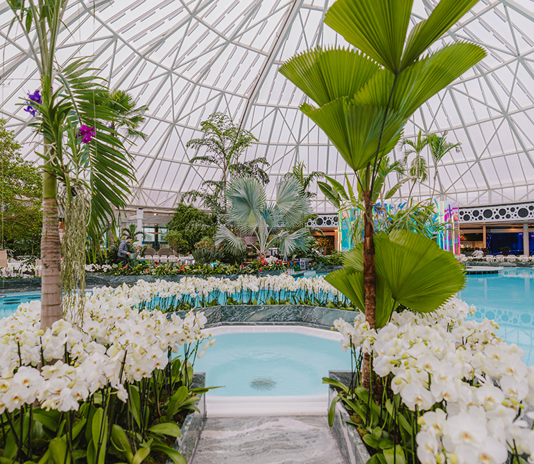 A water basin surrounded by white orchids and tropical plants.