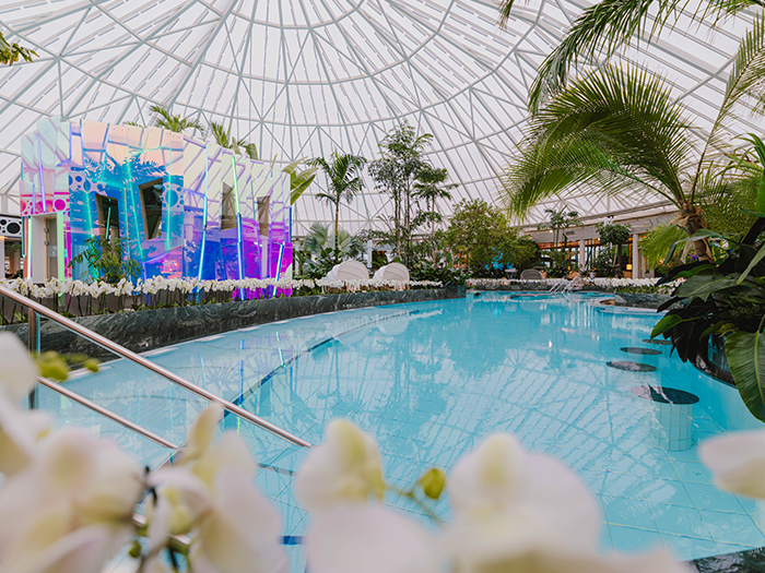 Large Vitality pool surrounded by white orchids and palm trees.