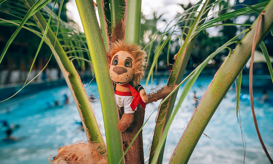 Das Maskottchen der Therme Erding, der Löwe Nelson, als Plüschtier
