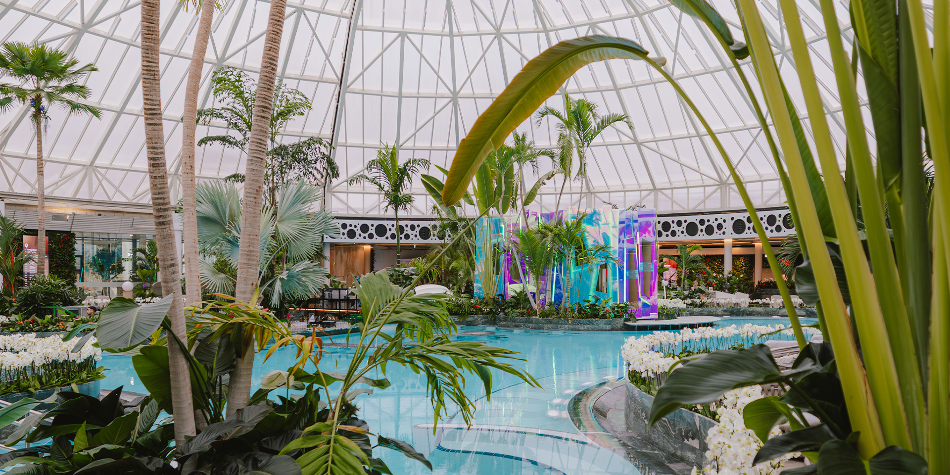 Der große Thermenpool mit türkisblauen Wasser, umgeben von grünen Pflanzen und Palmen.