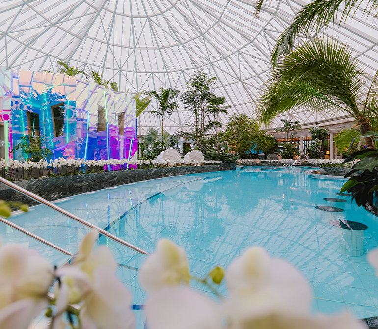 Großer Pool umgeben von tropischen Pfanzen, Palmen und einer großen leuchtenden Sauna.